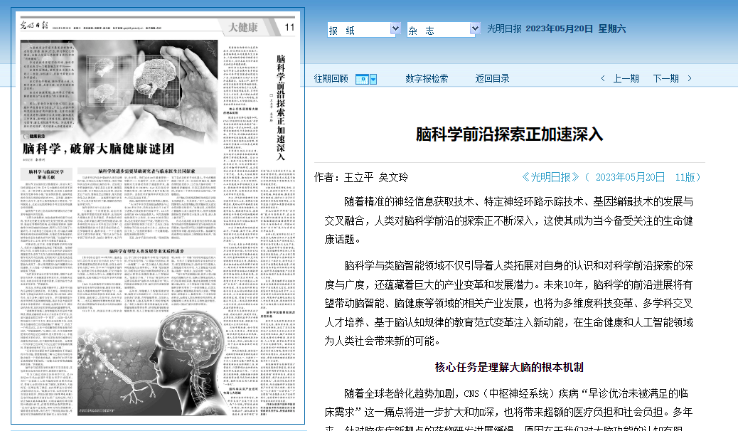 脑科学前沿探索正加速深入
