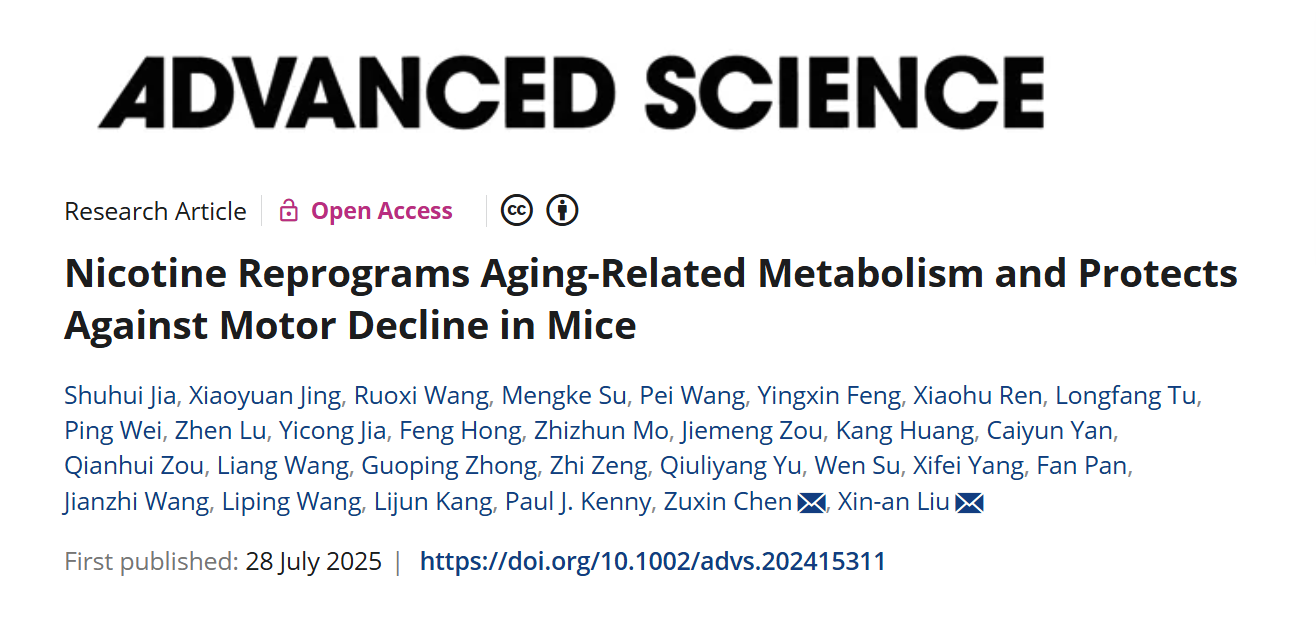 Advanced Science丨深圳先进院脑所/深港脑院刘欣安/陈祖昕团队揭示终生饮用尼古丁对小鼠衰老相关运动及代谢的动态调控